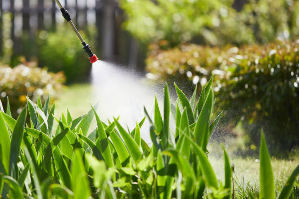 24/7 Emergency Fumigation Services experts in McDonald, PA