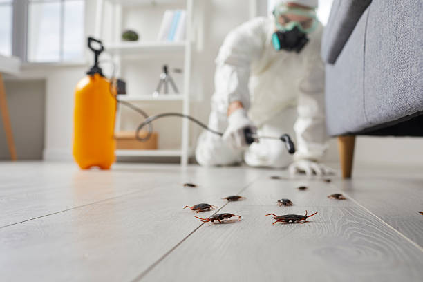 Trusted Cockroach Control service in McDonald, PA - Nex Pest Control
